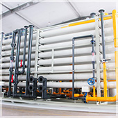 合作基于信任 信任基于實(shí)力